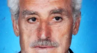 Trabzon'da Üzerine Ağaç Düşen Şahıs Hayatını Kaybetti