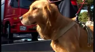 Zonguldak Ereğli Belediyesi İtfaiye Müdürlüğü'ne 3 Arama Kurtarma Köpeği