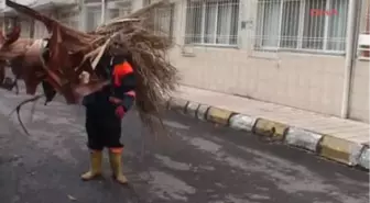 Yüksek Gerilim Hattı Koptu, Orman Yangını Çıktı