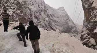 Hakkari- Çukurca Karayolu Çığ Yüzünden Kapandı