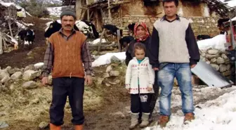 İnekleri Aç Kalan Aile Açlık Grevine Başladı