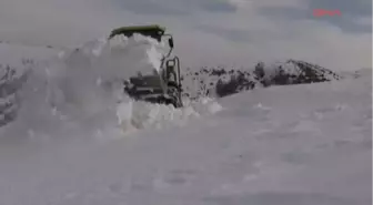 Yayla Yolu Kardan Kapandı, Keçiler Açlıktan Telef Oldu