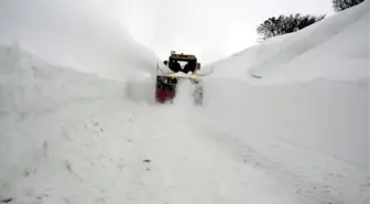 Tunceli'de Karla Zorlu Mücadele