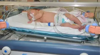 5 Günlük Bebek Cami Avlusuna Terk Edildi