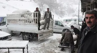 Yemsiz Kalan Hayvanları İçin Yürüyerek Bitlis'e Geldiler