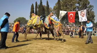 Develer Nazilli'de Eğitime Destek İçin Güreşti