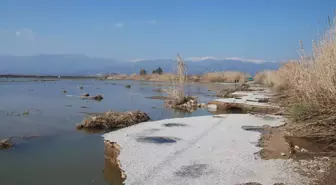 Denize Dönen Aydın Ovası Üreticiyi Zora Soktu