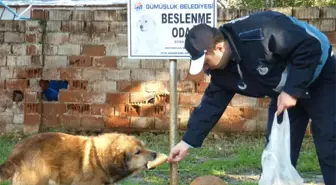 Gümüşlük'de Ekmekler İsraf Edilmiyor