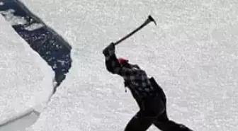 Kanada Fok Avını Sonlandırmayı Tartışıyor