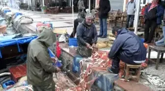 Balıkçılara Yağmurla Gelen Bereket