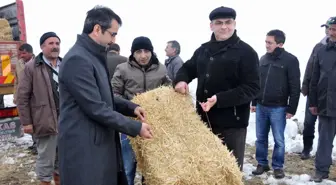 Karaman'da Yılkı Atları ve Yaban Hayvanlarına Yiyecek Bırakıldı