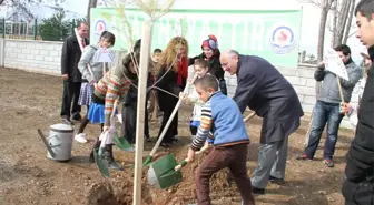 Denizli'de Ağaçlandırma Günleri Başladı