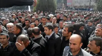 Maç Değil İş Başvurusu