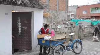 Sokakta Çalışan Çocuklar Ailelerine Destek İçin Kar Kış Dinlemiyor