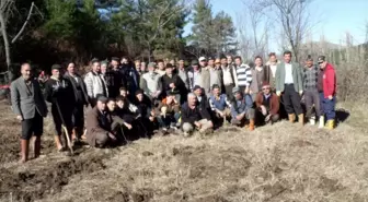 Bigadiç'te Meyvecilik Gelişiyor