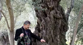 İlahiyatçılar da Gözünü Nazilli'ye Çevirdi