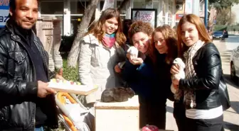 Burhaniye'de Liseli Kızların Hayvan Sevgisi
