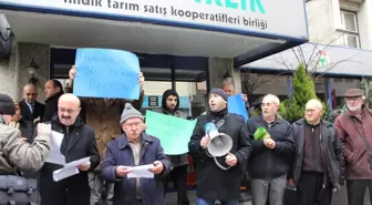 Fiskobirlik İşçileri Yoktu Ama...