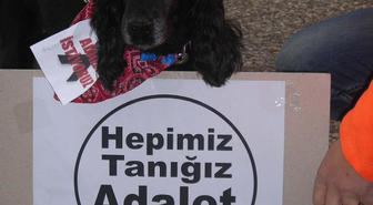 Hayvanseverler, 'Yamuk' İçin Yine Adliyede
