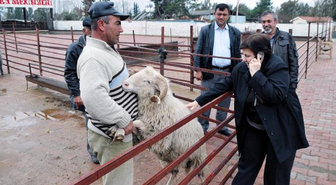 Anne Şık, Adağını Yerine Getirdi