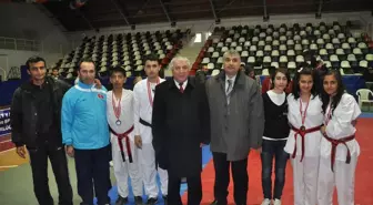 Okullar Arası Yıldızlar Tekvando İl Birinciliği Müsabakaları Sona Erdi