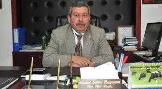 Fındıkta Rekolte Beklenenin Altında