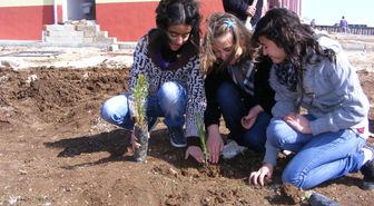 Öğrenciler Okul Bahçesine Fidan Dikti