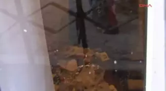 Boğazı Kesilmiş Bir Ceset Bulundu