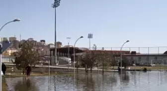 Futbol Sahası Yavru Sazan Balıklarıyla Doldu
