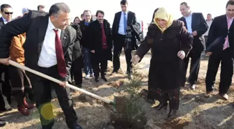 Kütahya'da 'Aile Sevgi Ormanı' Oluşturuldu