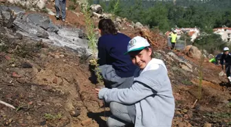 Marmaris'te Yanan Ormanlık Alana 3 Bin Fidan Dikildi