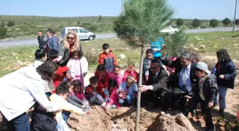 Belediye ve Anaokulu Öğrencileri Fidan Dikimi Gerçekleştirdi.