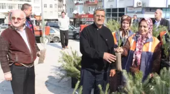 Keşan Belediyesi Fıstık Çamı Dağıttı