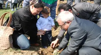 Minikler Fidan Dikti