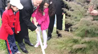 Trabzon'da Dünya Ormancılık Günü ve Haftası Etkinlikleri