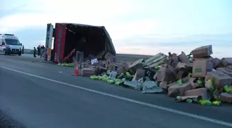 Kontrolden Çıkan Tır Devrildi: 1 Ölü, 1 Yaralı