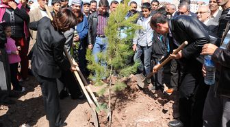 Toplu Konut Bölgesinde Bin Fidan Dikildi