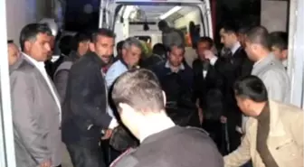 Hayvan Otlatan Baba ile Kızı Öldürüldü