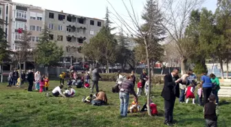 Malkara Kız Teknik ve Meslek Lisesi Ana Sınıfı Öğrencileri Ağaç Dikti