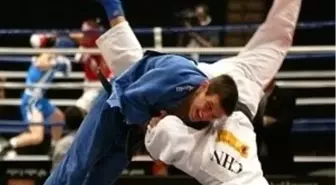 Avrupa Wushu Şampiyonası