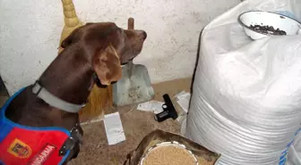 Balıkesir'de Silah Operasyonu