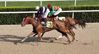 Tsyd Kupası Dansıng Rıver'in