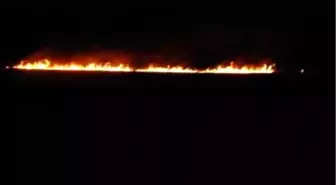 Kuş Cenettinde Yangın