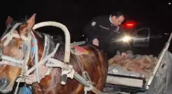 Şüpheli Kadınlar Kaçtı, Terk Edilen At Arabası Karakola Getirildi