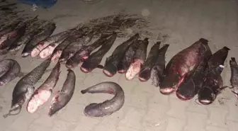 Kaçak Avlanan Balıkçılar Suçüstü Yakalandı