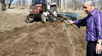 Iğdır'da Ekim Dikim Zamanı Başladı