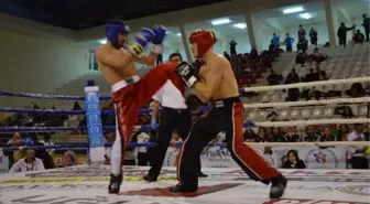 Kickboks'a Antalya Damgası