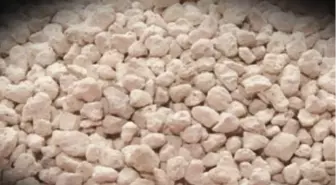 Türkiye'nin Beyaz Altını