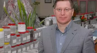 Profesör Gündüz: Ponza Geliri Cari Açığı Dahi Kapatabilir