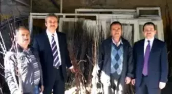 Gümüşhane'de Meyveciliği Geliştirme Projesi